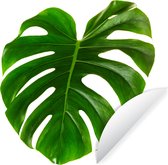 Cercle de papier peint - Groot feuille botanique sur fond blanc - 80x80 cm - Cercle mural - Auto-adhésif - Sticker papier peint rond