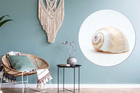 WallCircle - Peinture - Coquillage Animaux Spirale Et - Multicolore - 140 X 140 Cm