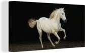 Canvas Schilderij Paard - Zand - Wit - 80x40 cm - Wanddecoratie