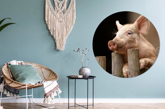 WallCircle - Wall Circle - Wall Circle Indoor - Cochon - Animal - Clôture - 120x120 cm - Décoration murale - Peintures Ronds XXL