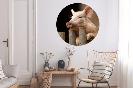WallCircle - Wall Circle - Wall Circle Indoor - Cochon - Animal - Clôture - 120x120 cm - Décoration murale - Peintures Ronds XXL