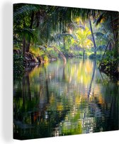 OneMillionCanvasses - Canvas - Jungle - Tropisch - Water - Weerspiegeling - Natuur - Kamer decoratie - 20x20 - Canvas schilderijen