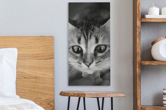 Tableau sur toile représentant un chat reniflant, de profil, en noir et blanc - 20 x 40 cm - Décoration murale