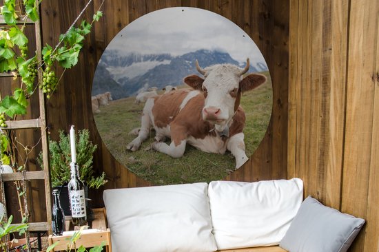 Garden Circle Vaches - Prairie - Alpes - 120x120 cm - Affiche de jardin ronde - Extérieur XXL / Groot format !