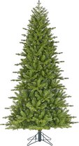 Black Box Trees - Gommage sapin de Noël vert TIPS 1879 - h185xd104cm- Sapins de Sapins de Noël