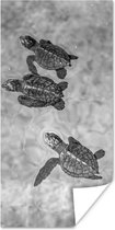 Poster Schildpadden zwart-wit foto - 80x160 cm