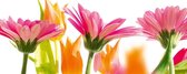 Dimex Spring Flowers Vlies Fotobehang 375x150cm 2-delen