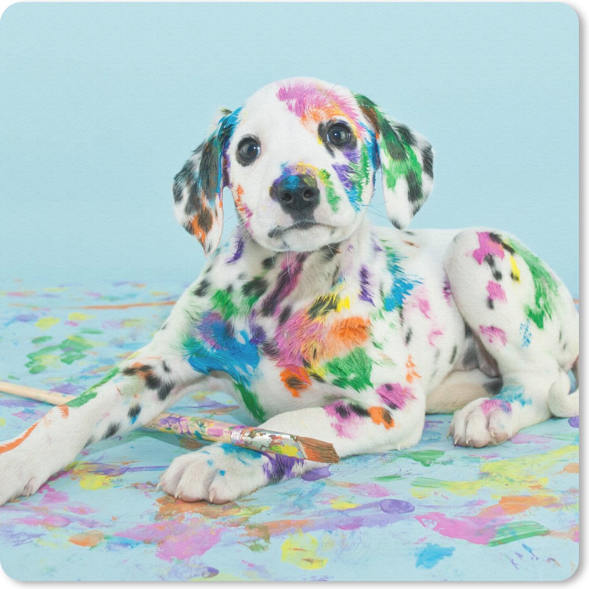 Muismat 20x20 cm - Mousepad Hond - Verf - Blauw - Muismatten