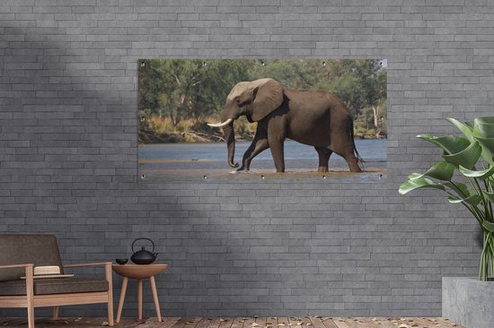 Décoration murale d'extérieur Un éléphant traverse le fleuve Zambèze dans le parc national du Bas Zambèze - 160x80 cm - Toile jardin - Affiche extérieure