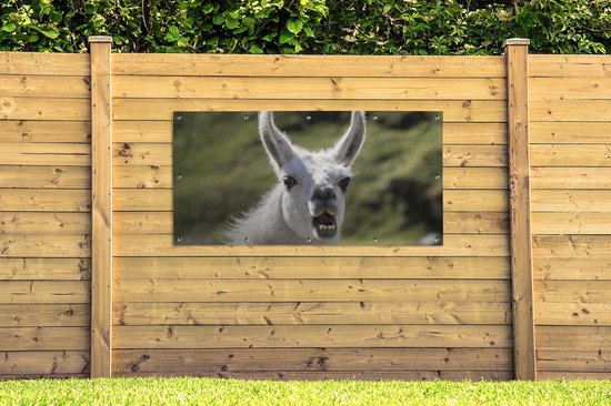 Affiche de clôture Lama - Drôle - Enfants - Garçons - Filles - Kids - 200x100 cm - Toile de jardin