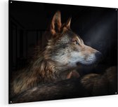Artaza Glasschilderij - Wolvenkop Met Een Zonnestraal - Wolf - 100x75 - Groot - Plexiglas Schilderij - Foto op Glas