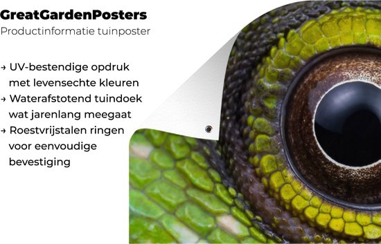 Poster jardin Yeux - Reptile - Vert - 80x40 cm - Décoration murale extérieur - Poster jardin - Toile jardin - Poster clôture - Tableau jardin