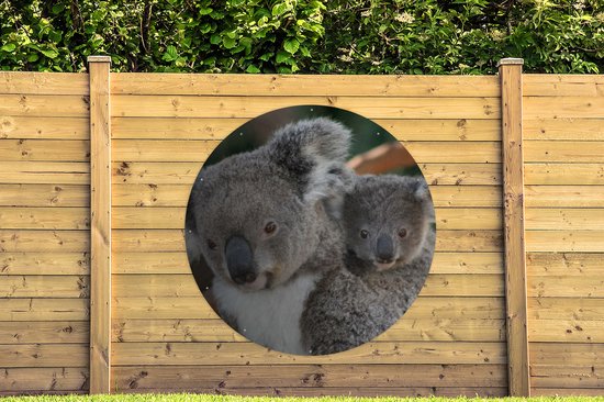 Garden Circle Koalas - Père - Enfant - Enfants - Garçons - Filles - 150x150 cm - Affiche Ronde de Jardin - Extérieur