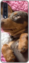 Geschikt voor Samsung Galaxy A50 hoesje - Een Teckel puppy op een roze deken - Siliconen Telefoonhoesje