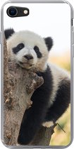 Geschikt voor iPhone 7 hoesje - Panda - Boom - Licht - Siliconen Telefoonhoesje