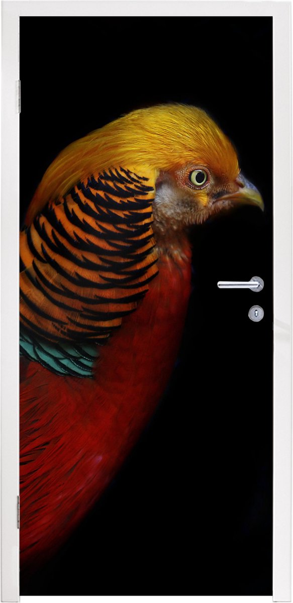 Afbeelding van product StickerSnake  Deursticker Vogel - Veren - Zwart - Portret - 80x215 cm - Deurposter