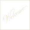 Santana - Welcome (LP)