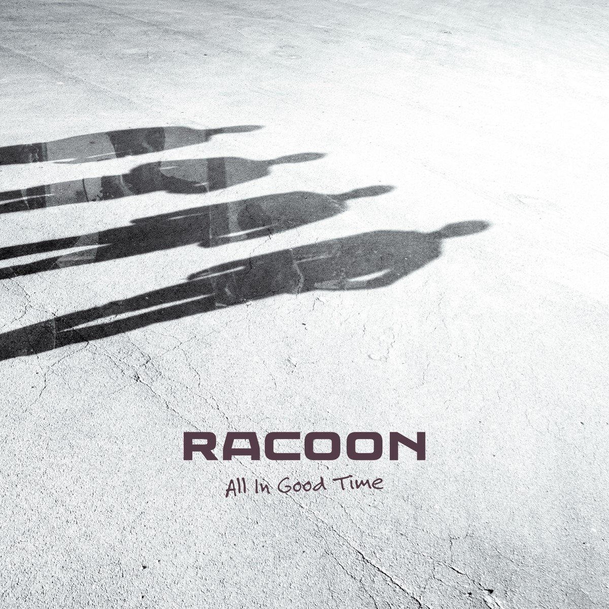 All In Good Time (LP) - Racoon