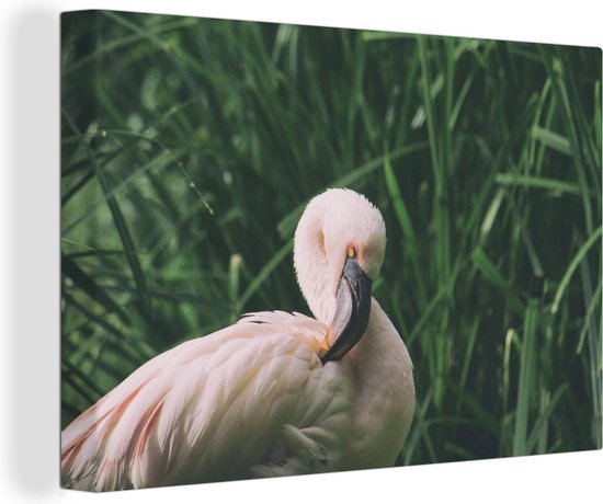 Canvas Schilderij Een flamingo staat tussen het gras - Wanddecoratie