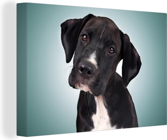 Canvas schilderij 180x120 cm - Wanddecoratie Lieve zwart-witte hond - Muurdecoratie woonkamer - Slaapkamer decoratie - Kamer accessoires - Schilderijen