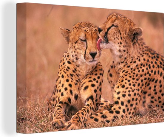 Canvas Schilderij Baby cheeta's - 30x20 cm - Wanddecoratie