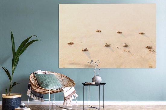 Canvas schilderij 180x120 cm - Wanddecoratie Baby schildpadden fotoprint - Muurdecoratie woonkamer - Slaapkamer decoratie - Kamer accessoires - Schilderijen