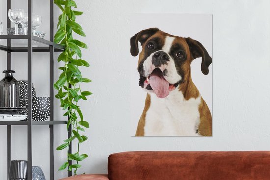Boxer avec langue sur toile 60x90 cm - Tirage photo sur toile (Décoration murale salon / chambre) / Peintures sur toile pour Animaux domestiques