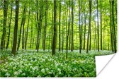 Groene bomen in het bos Poster 180x120 cm - Foto print op Poster (wanddecoratie woonkamer / slaapkamer) / Bomen Poster XXL / Groot formaat!
