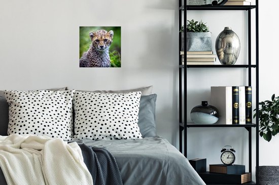 Affiche un guépard - 30x30 cm