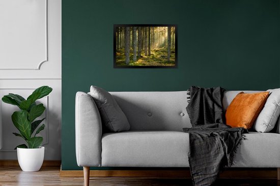 Affiche avec cadre Forêt - Arbre - Soleil - 30x20 cm