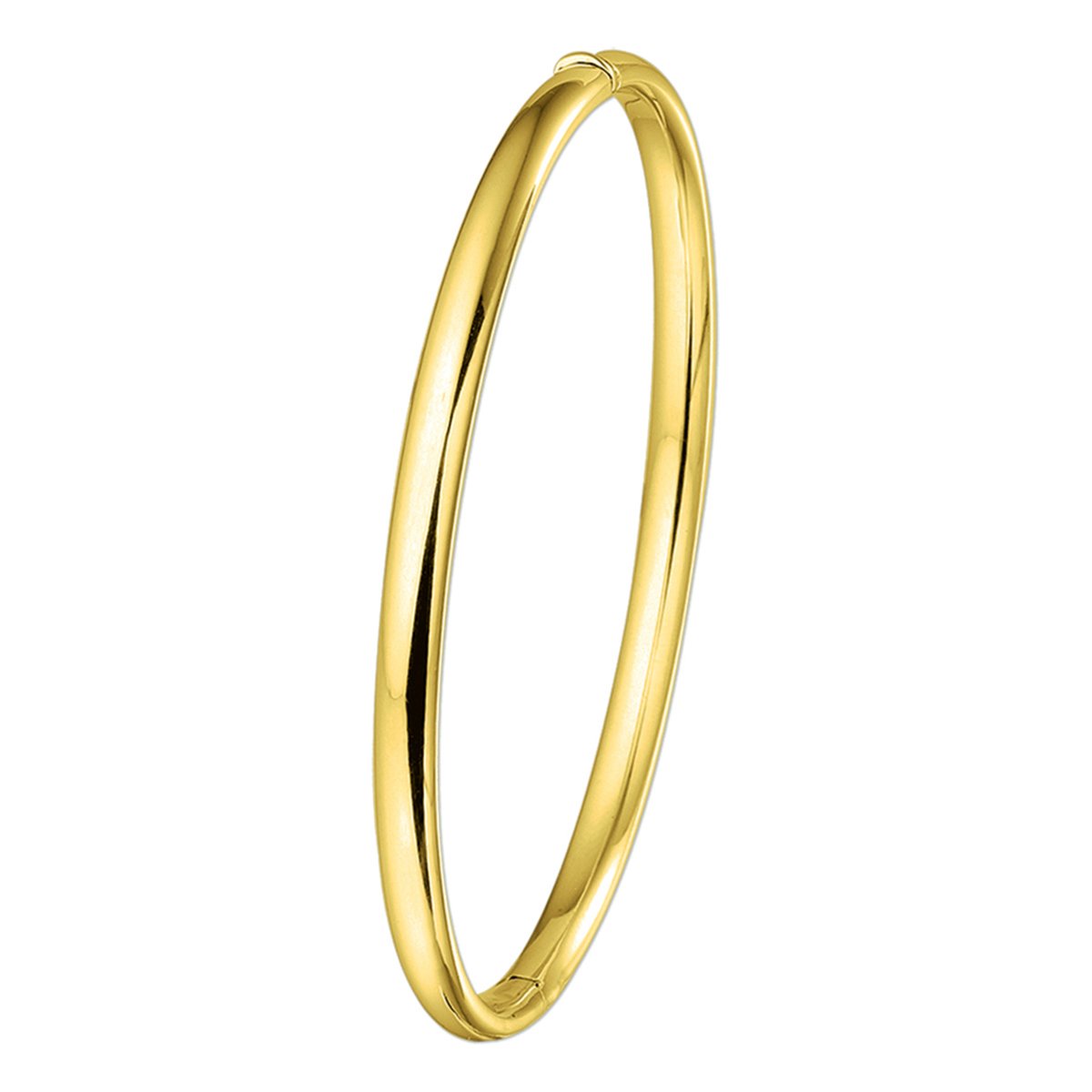 Bangle Scharnier Ovale Buis 4 X 60 Mm
