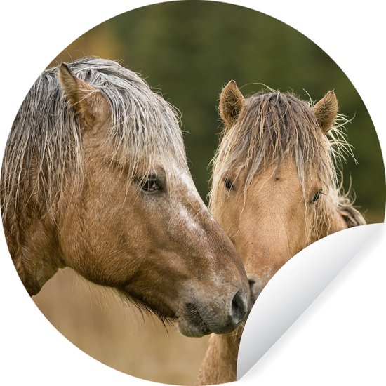 WallCircle - Muurstickers - Behangcirkel - Close-up van knuffelende fjord paarden - ⌀ 120 cm - Muurcirkel - Zelfklevend - Ronde Behangsticker XXL