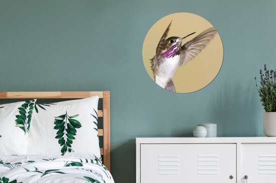 WallCircle - Stickers muraux - Cercle Papier Peint - Colibri - Vogel - Violet - 50x50 cm - Cercle Mural - Auto Adhésif - Autocollant Rond Papier Peint