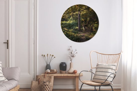 Cercle de papier peint - Cerf - Bois - Forêt - Automne - 100x100 cm - Cercle mural - Autocollant - Papier peint autocollant XXL
