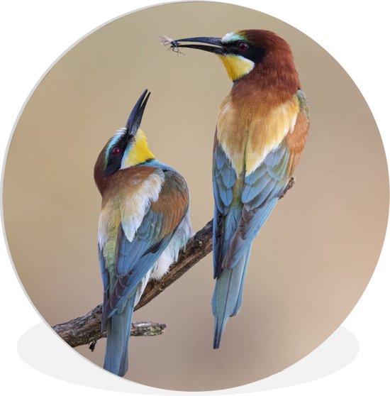 Cercle Mural - Cercle Mural Intérieur - Vogel - Insecte - Amis - ⌀ 120 cm - Décoration murale - Peintures Ronds XXL