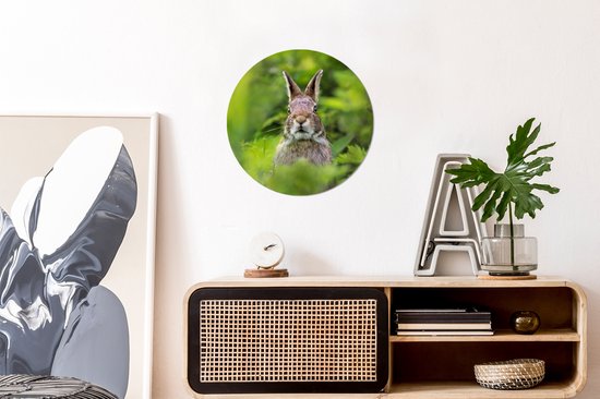 Wall Circle - Wall Circle Indoor - Lapin - Herbe - Vert - ⌀ 30 cm - Décoration murale - Peintures Ronds