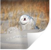 Stickers muraux - Hibou - Neige - Dune - 100x100 cm - Feuille adhésive XXL
