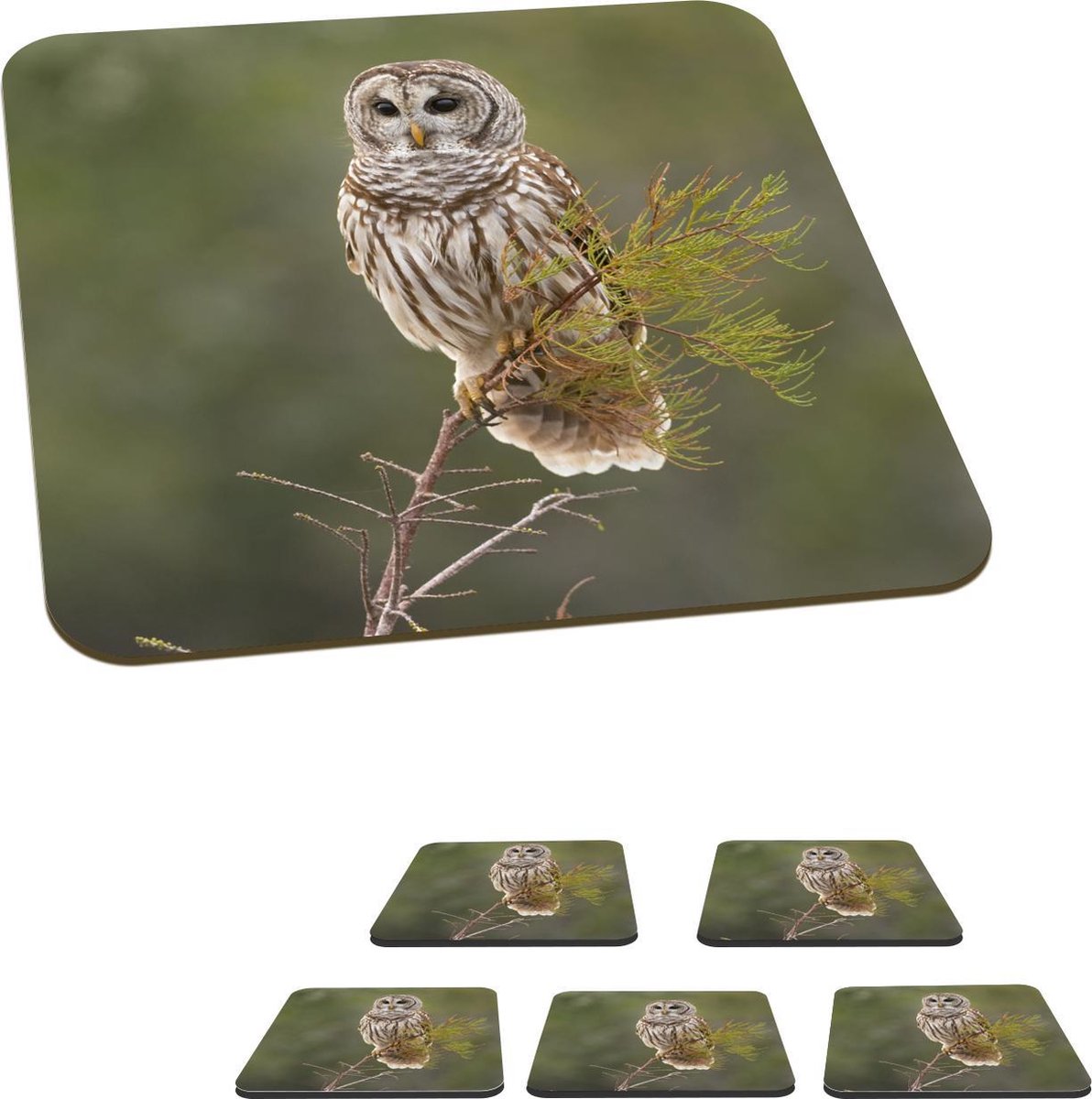 Onderzetters voor glazen - Uil - Vogel - Tak - 10x10 cm - Glasonderzetters - 6 stuks