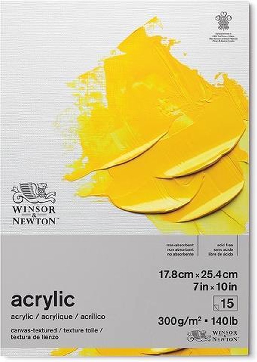 Winsor & Newton Acrylic Papier 18x26