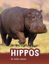 Animals - Hippos