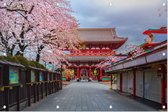 Zicht op de oude Sensoji-ji Tempel van Asakusa in Tokio - Foto op Tuinposter - 90 x 60 cm