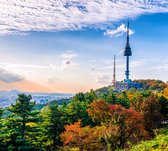 De N Tower op de populaire Namsanberg in hartje Seoul - Fotobehang (in banen) - 250 x 260 cm