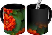 Magische Mok - Foto op Warmte Mok - Oranje zinnia bloemen - 350 ML