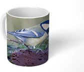 Mok - Een koolmees zittend bij het water en het gras - 350 ML - Beker
