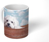 Mok - Koffiemok - Maltezer hond in een houten doos - Mokken - 350 ML - Beker - Koffiemokken - Theemok