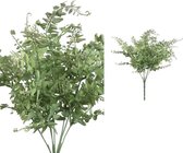 PTMD Leaves Plant Siarasperge Bos Kunsttak - 34 x 38 x 45 cm - Groen