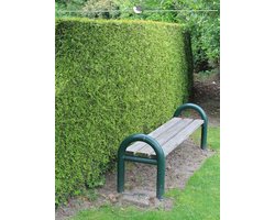 Westerse Levensboom Thuja Brabant 60-80 cm in Pot, 5x Haagplant