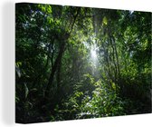 Canvas Schilderij Regenwoud, Costa Rica - 90x60 cm - Wanddecoratie