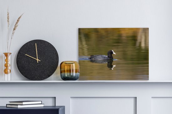 Tableau sur toile Foulque dans l'eau - 40x30 cm - Décoration murale