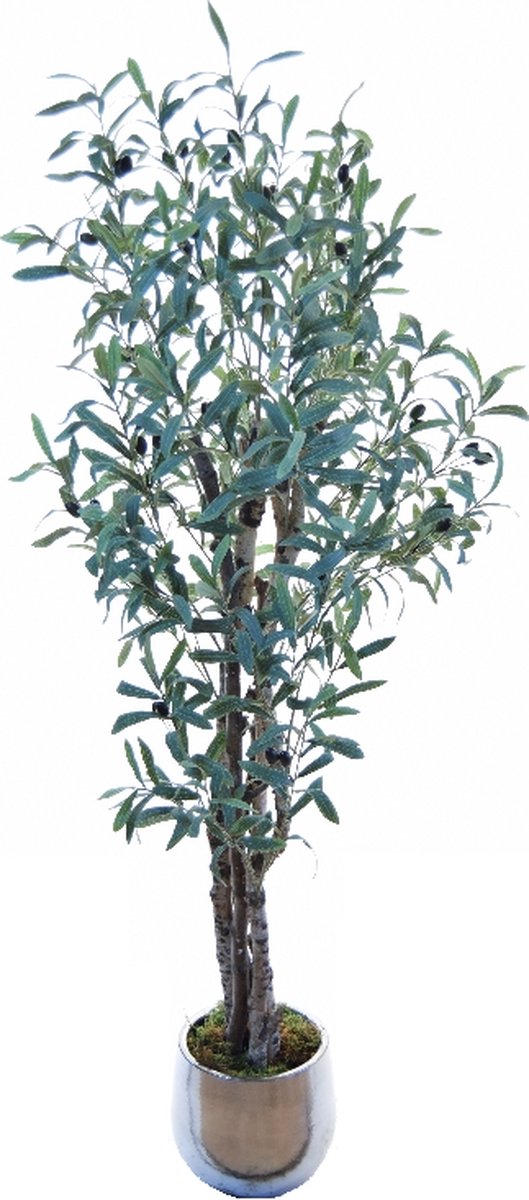 Kamyra® Plante d' Olijfboom Artificiel - Plantes Fausses Olives Groot -  Olivier Pour
